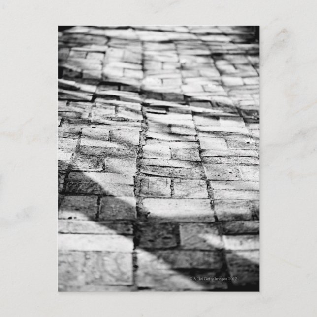 Cartão Postal Caminho de tijolos antigo (Frente)