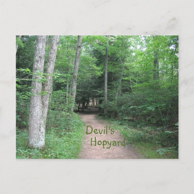 Cartão Postal Caminho de Woodsy (Frente)