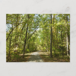 Cartão Postal Caminho do Lago Kittamaquandi em Columbia Maryland