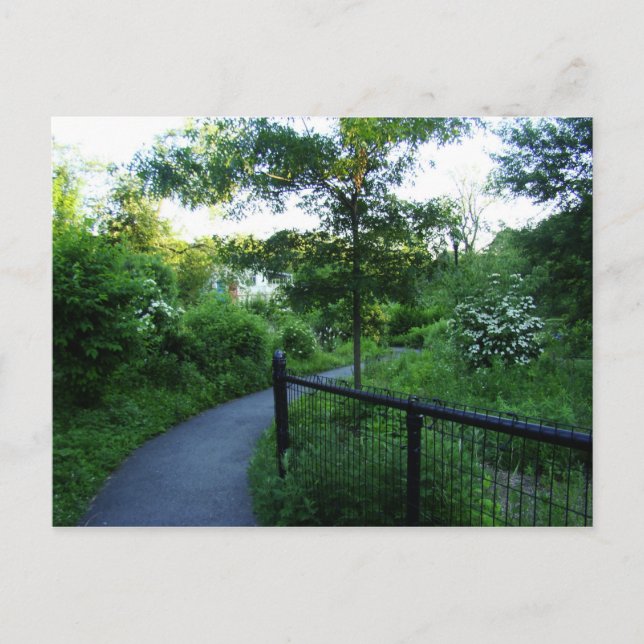 Cartão Postal Caminho do pé para a casa de banho (Frente)