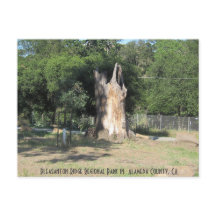 Caminho em Pleasanton, CA 6