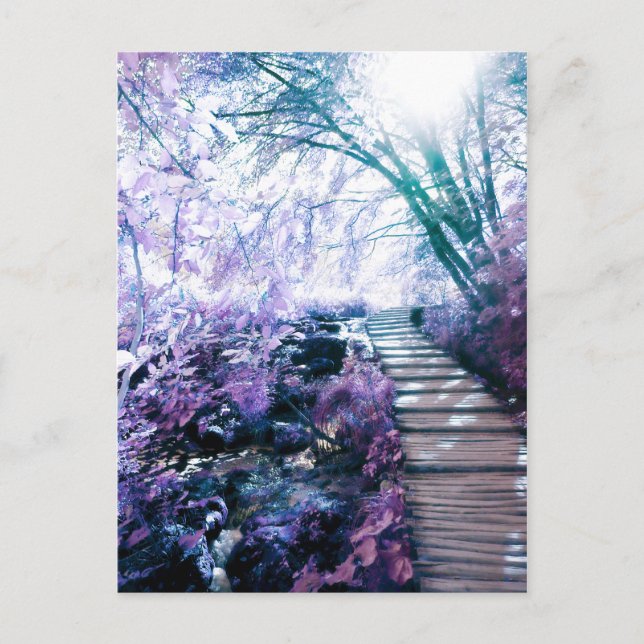 Cartão Postal caminho encantado (Frente)