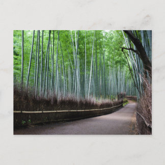 Cartão Postal Caminho III