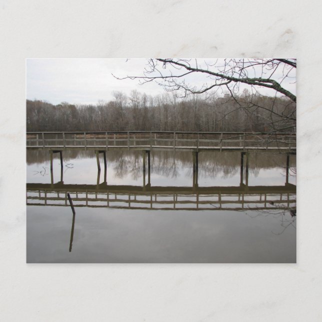 Cartão Postal Caminho legal (Frente)