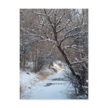 Caminho Nevado Foto Postal de Inverno