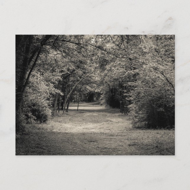 Cartão Postal Caminho para Desconhecido (Frente)