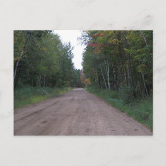 Cartão Postal Caminho pela floresta