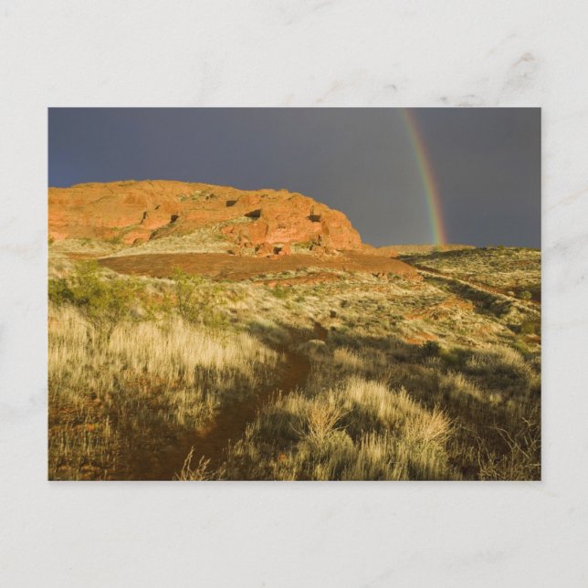 Cartão Postal Caminho simples no Red Cliffs Desert Preserve pert (Frente)