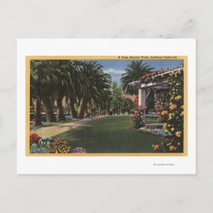 Cartão Postal Caminho Sombreado da Palma da CalifórniaA