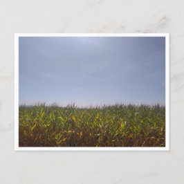 Cartão Postal Camino de Santiago del Norte (Espanha)