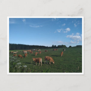 Cartão Postal Camino Primitivo de Santiago (Espanha)