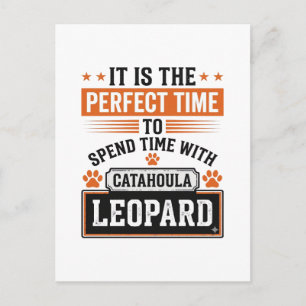 Cartão Postal Camisa de Cão Leopardo Catahoula Vintage Design_1