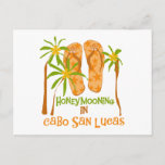 Cartão Postal Camisetas e presentes em Honeymoon Cabo San Lucas<br><div class="desc">Se você é um recém-casado cujo local de lua de mel de destino é Cabo San Lucas,  você vai adorar esses chinelos e a design de mel tropical em Camisas do Cabo San Lucas,  capuzes,  canecas,  botões e outros itens!</div>