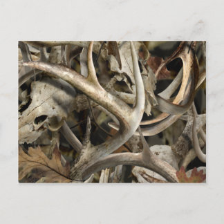 Cartão Postal Camo Deer Skulls