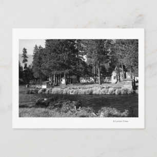 Cartão Postal Camp Sherman, visualização Oregon de Rogers Cabins