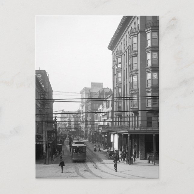 Cartão Postal Camp Street, Nova Orleans: 1906 (Frente)