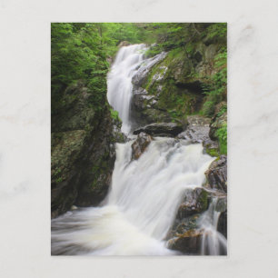 Cartão Postal Campbell Falls Berkshires Waterfall