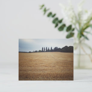 Cartão Postal Campestre da Inglaterra