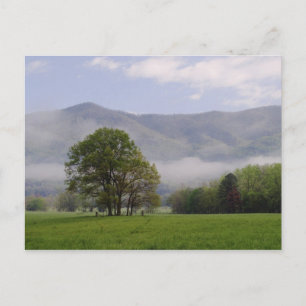 Cartão Postal Campina nebulosa e Rich Mountain, Cades Cove,