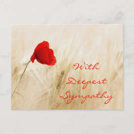 Cartão Postal Campo Aberto Red Poppy com mais simpatia