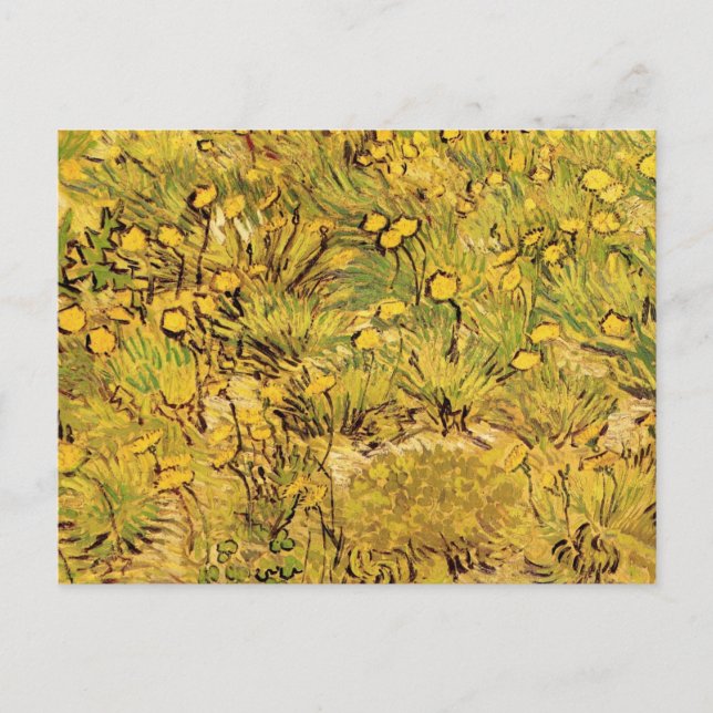 Cartão Postal Campo das flores amarelas por Vincent van Gogh (Frente)