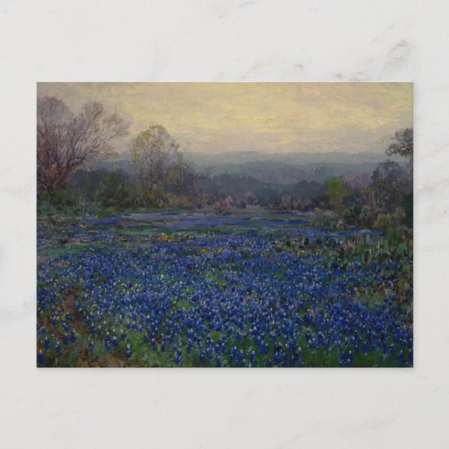 Cartão Postal Campo de Bluebonnets, 1918 (Frente)