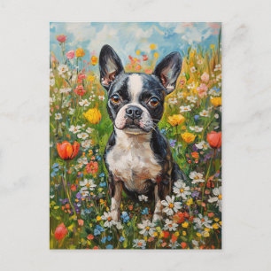 Cartão Postal Campo de flor selvagem Colorida de Boston Terrier