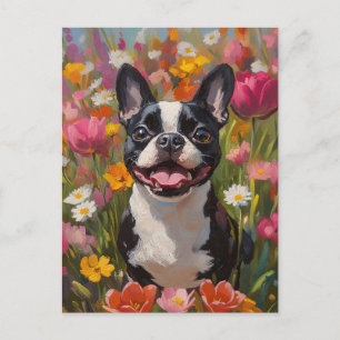 Cartão Postal Campo de flor selvagem Colorida de Boston Terrier