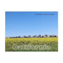 Campo de flores de mostarda