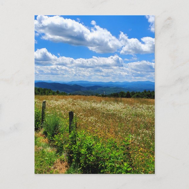 Cartão Postal Campo de flores e montanhas (Frente)