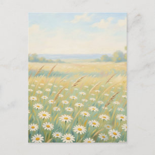Cartão Postal Campo de Flores Silvestres Margarida Branca Ensola