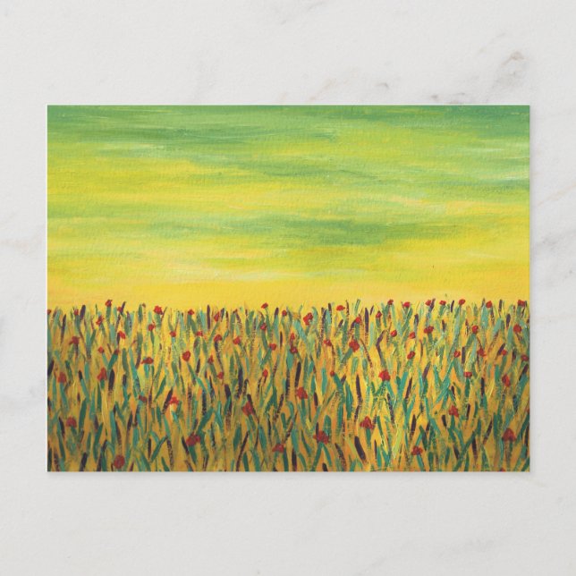Cartão Postal Campo de Flores Vermelhas (Frente)