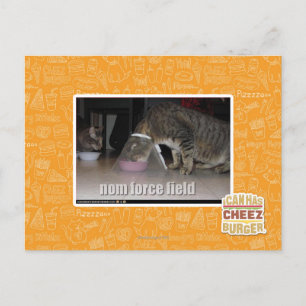 Cartão Postal campo de força nom