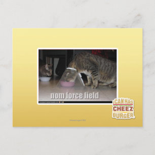 Cartão Postal campo de força nom