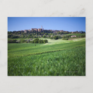Cartão Postal campo de granulação despoletado com pienza, tosc