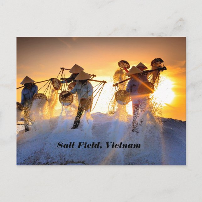 Cartão Postal Campo de Sal do Vietnã (Frente)