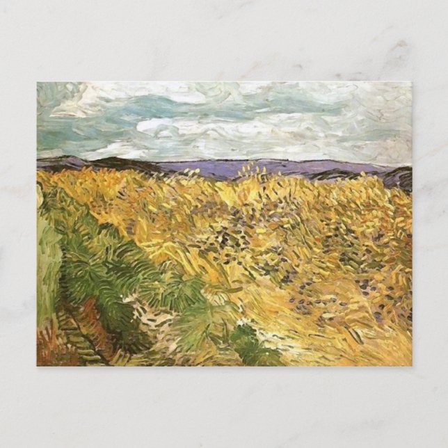 Cartão Postal Campo de trigo com Cornflower Van Gogh Fine Art (Frente)