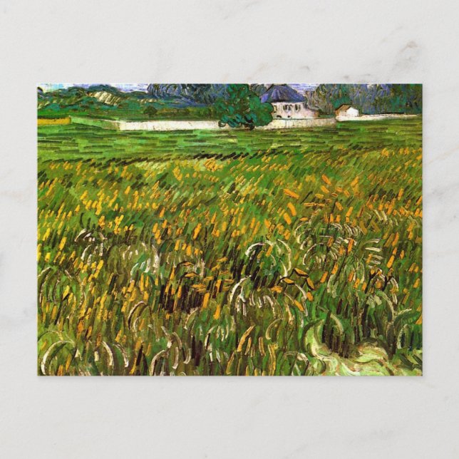 Cartão Postal Campo de trigo em Auvers por Vincent van Gogh (Frente)