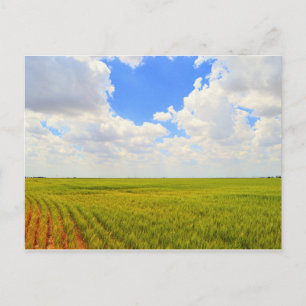 Cartão Postal Campo de trigo em Scott County, Kansas