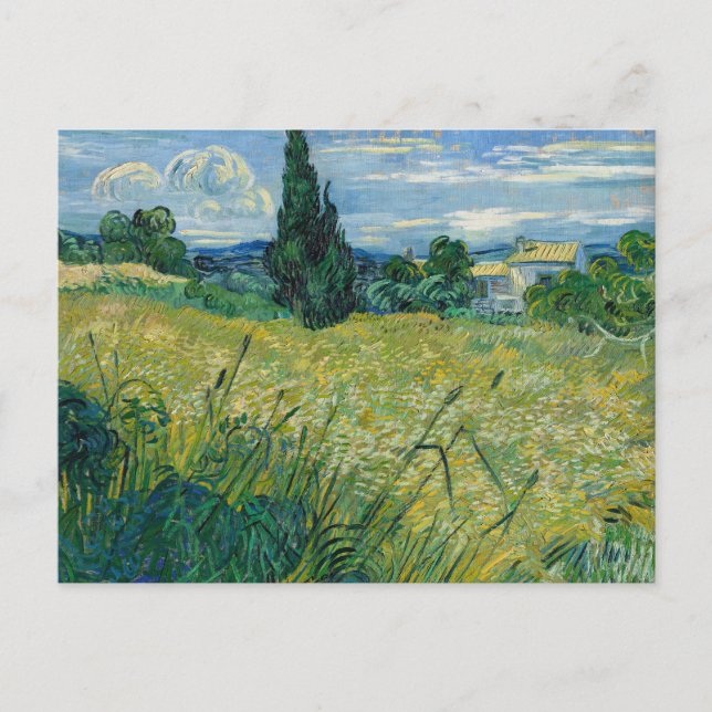 Cartão Postal Campo de trigo verde com cisto | Vincent van Gogh (Frente)