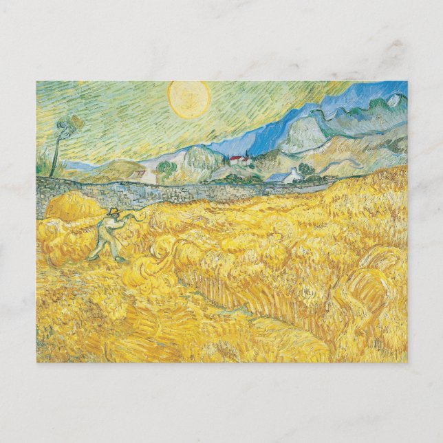 Cartão Postal Campo de trigo | Vincent van Gogh (Frente)