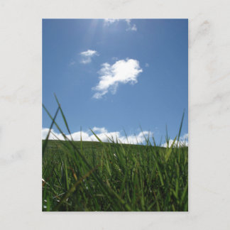 Cartão Postal Campo de verão
