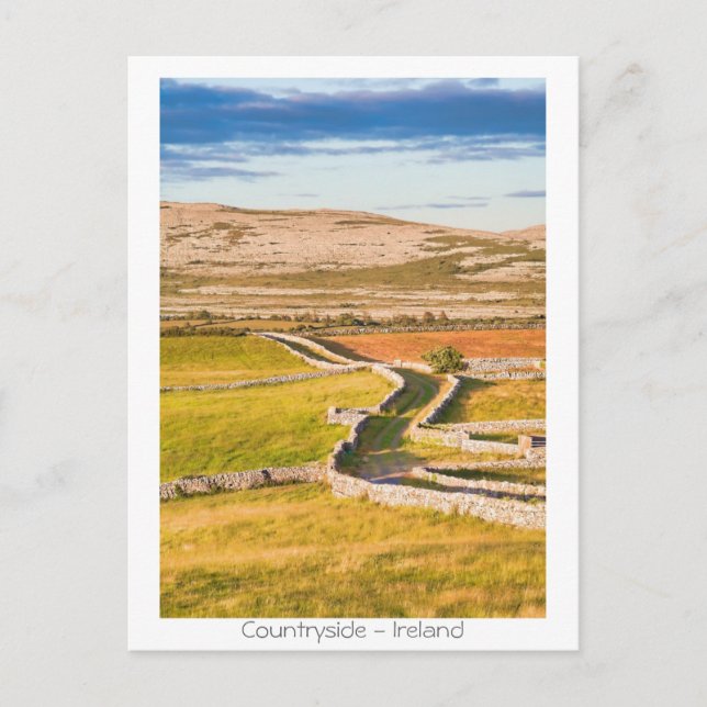 Cartão Postal Campo irlandês (Frente)
