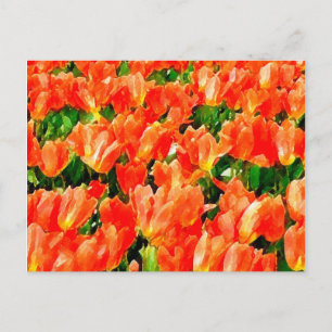 Cartão Postal Campo laranja de tulipas