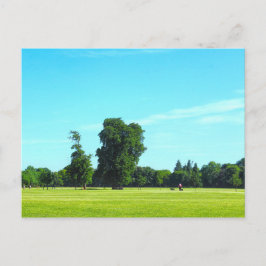 Cartão Postal Campos Blackweir. Bute Park, Cardiff, Gales.