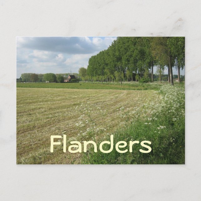 Cartão Postal Campos da Flandres (Frente)
