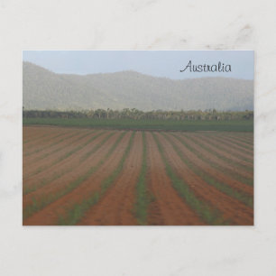 Cartão Postal Campos de Cana-de-Açúcar — Queensland, Austrália