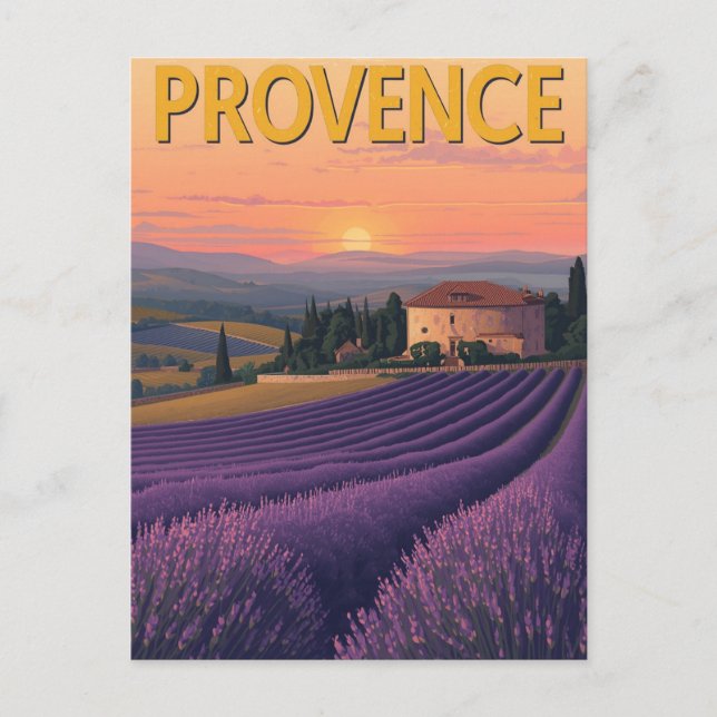 Cartão Postal Campos de lavanda da Provença (Frente)