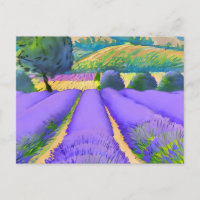 Campos de Lavanda natural