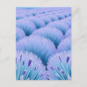 Cartão Postal Campos de Lavanda Sonhadores Estética Roxo Azul 